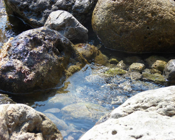 Обои картинки фото 