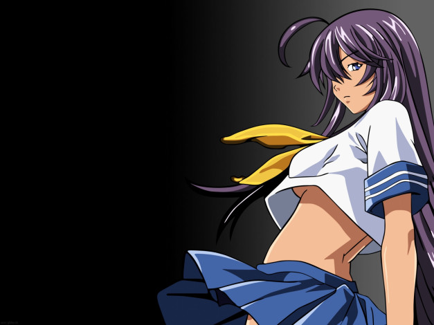 Обои картинки фото аниме, ikki, tousen