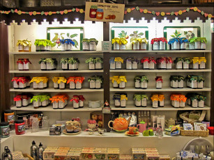 Картинка разное медицина банки