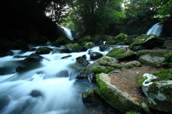 Картинка природа реки озера камни лес вода