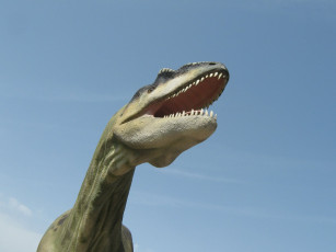 обоя разное, рельефы, статуи, музейные, экспонаты, динозавр