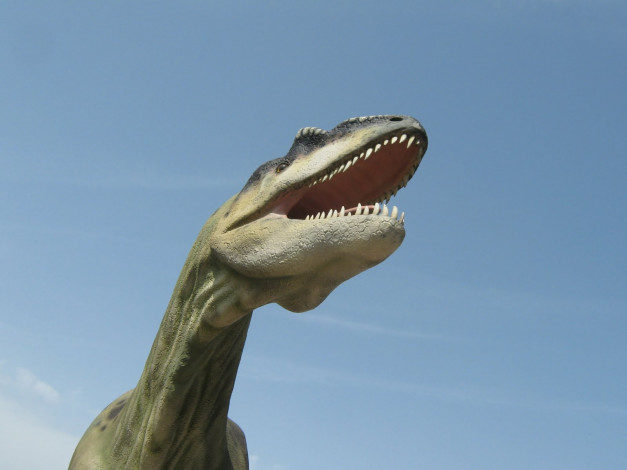 Обои картинки фото разное, рельефы, статуи, музейные, экспонаты, динозавр