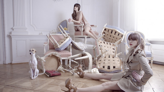 Обои картинки фото -Unsort Группа девушек, девушки, unsort, группа, девушек, комната, собака, стулья