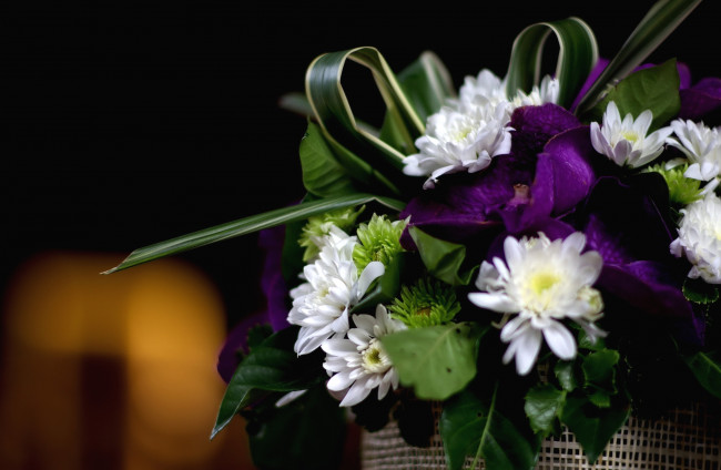 Обои картинки фото цветы, букеты, композиции, хризантемы, орхидеи