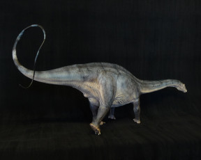 Картинка 3д графика animals животные дракон