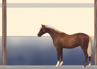 Картинка рисованные животные лошади лошадь