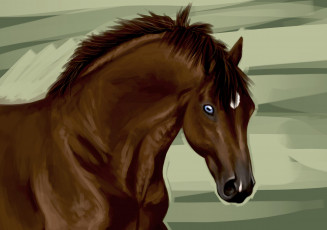 Картинка рисованные животные лошади лошадь