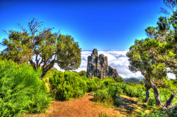 Картинка природа пейзажи деревья облака кусты трава скалы