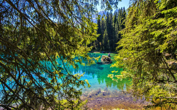 Картинка природа реки озера ели лес камни озеро