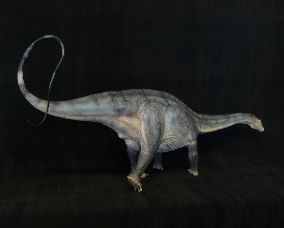 Обои картинки фото 3д, графика, animals, животные, дракон