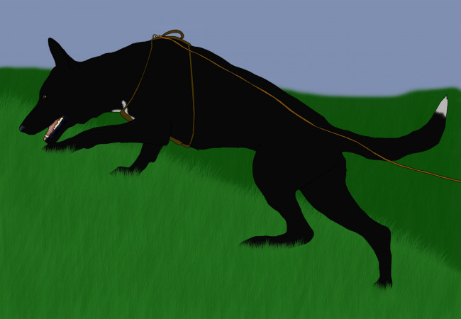 Обои картинки фото рисованные, животные, собаки, собака, трава