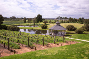 Картинка природа поля пейзаж озеро беседка виноградник небо