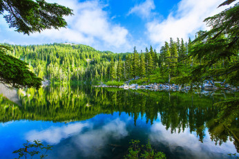 Картинка природа реки озера лес река горы