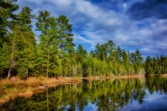 Картинка природа реки озера облака река лес