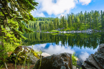 Картинка природа реки озера облака река лес