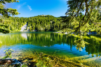 Картинка природа реки озера река лес