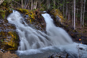 Картинка природа водопады река водопад лес