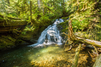 Картинка природа водопады водопад река лес