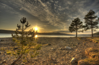 Картинка природа восходы закаты деревья река облака солнце