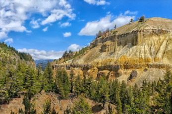 Картинка природа горы облака лес