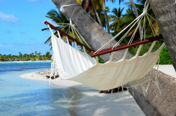 Картинка природа тропики песок солнышко пальмы пляж море