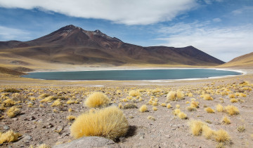 Картинка природа пейзажи кусты озеро горы небо