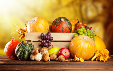 Картинка еда фрукты+и+овощи+вместе орехи грибы виноград груша тыква ящик