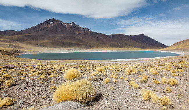 Обои картинки фото природа, пейзажи, кусты, озеро, горы, небо