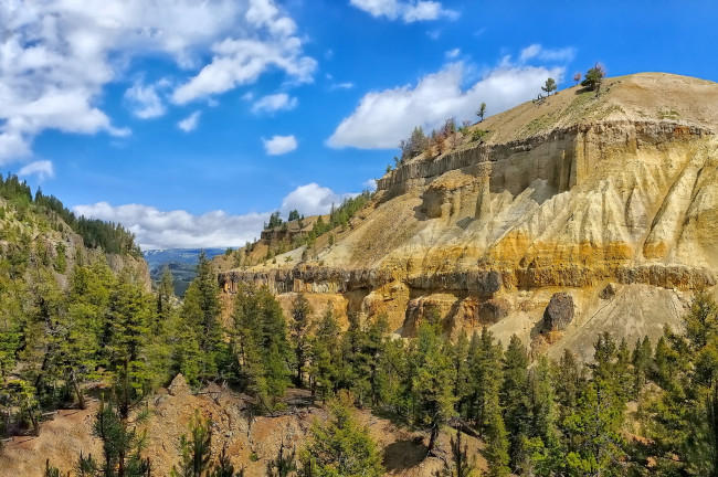 Обои картинки фото природа, горы, облака, лес