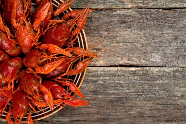 Обои картинки фото еда, рыбные блюда,  с морепродуктами, раки, миска