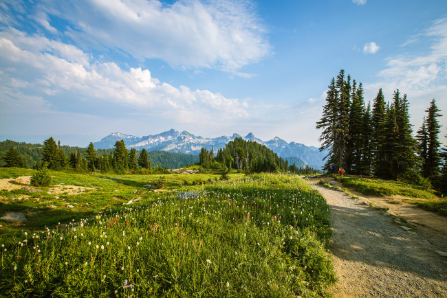 Обои картинки фото природа, дороги, дорога, лес, горы, поле