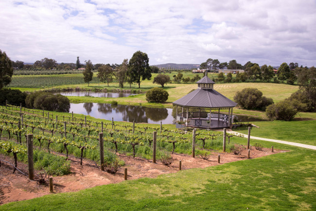 Обои картинки фото природа, поля, пейзаж, озеро, беседка, виноградник, небо