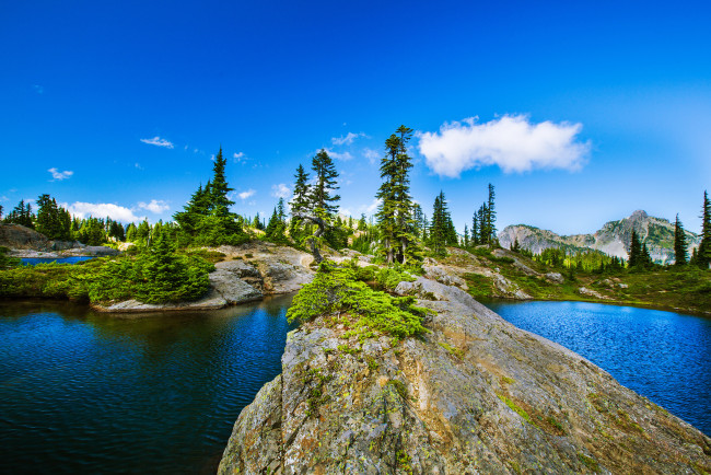 Обои картинки фото природа, реки, озера, деревья, скалы, река