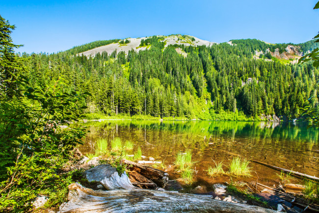 Обои картинки фото природа, реки, озера, горы, лес, река