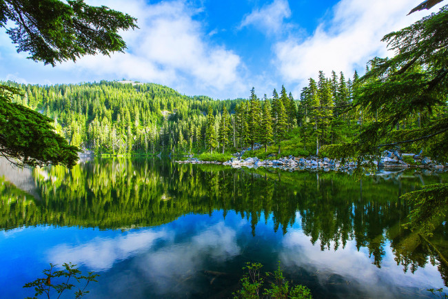 Обои картинки фото природа, реки, озера, лес, река, горы