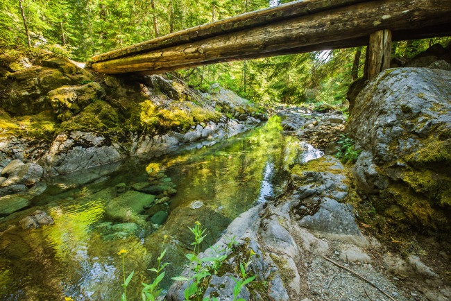 Обои картинки фото природа, реки, озера, мостик, река, лес