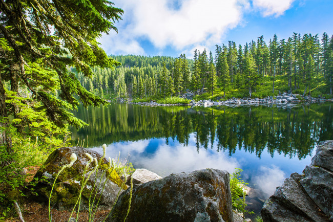 Обои картинки фото природа, реки, озера, облака, река, лес