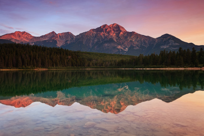 Обои картинки фото природа, реки, озера, озеро, патриция, горы, вода, лес, пирамидная, гора, национальный, парк, джаспер, канада, отражение