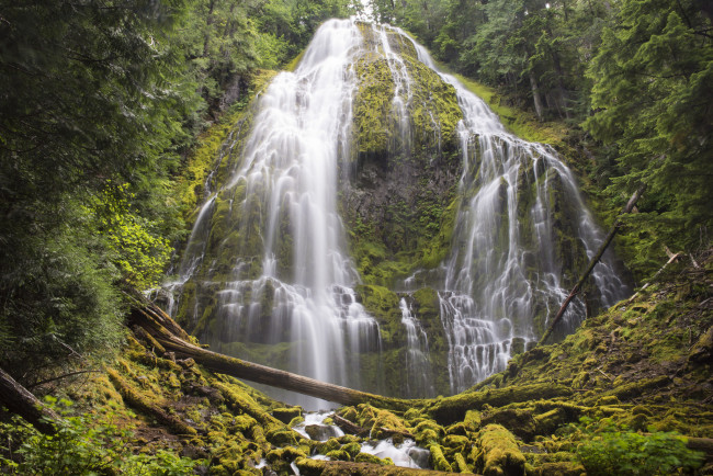 Обои картинки фото природа, водопады, водопад, лес, река