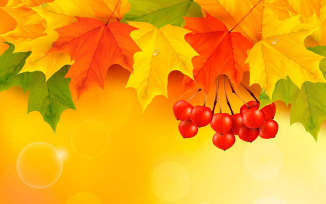 Обои картинки фото векторная графика, природа , nature, autumn, leaves, maple, листья, осенние, фон