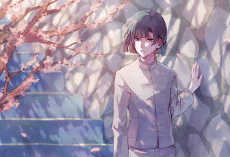 Картинка аниме hikaru+no+go парень