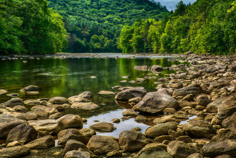 Картинка природа реки озера река лес