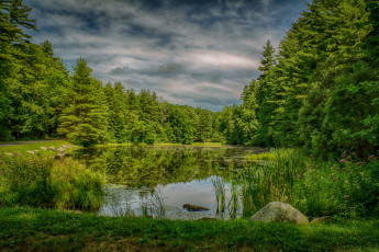 Картинка природа реки озера река лес