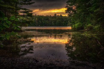 Картинка природа реки озера река лес