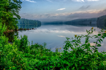 Картинка природа реки озера лес река