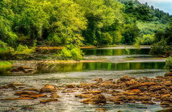 Картинка природа реки озера лес река