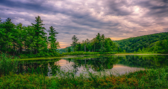 Обои картинки фото природа, реки, озера, река, лес