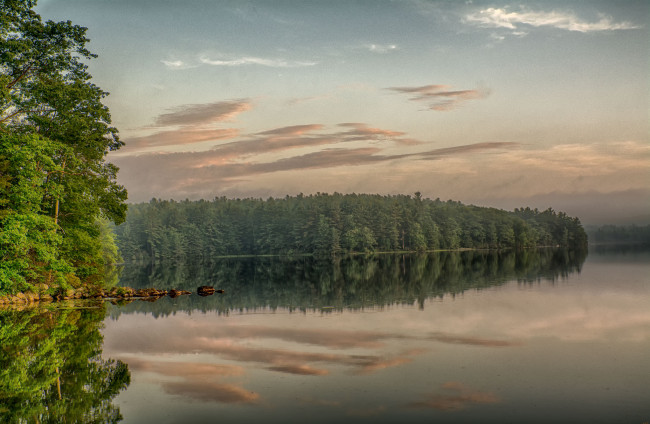 Обои картинки фото природа, реки, озера, лес, река