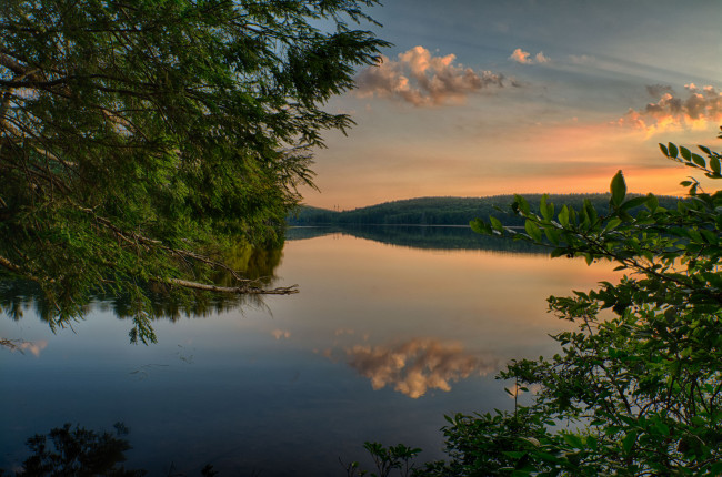 Обои картинки фото природа, реки, озера, река, лес