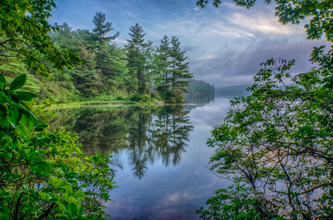 Обои картинки фото природа, реки, озера, река, лес